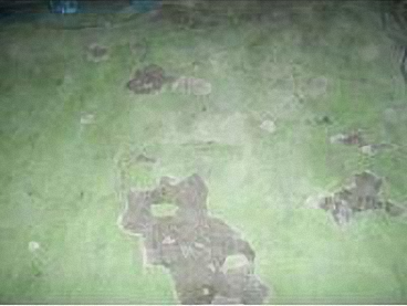 滄晟地坪漆_廠房地坪為何要進行翻新的五大項！